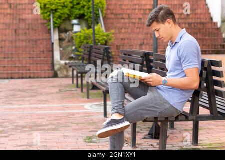 Junge Erwachsene lesen allein in der Entspannung eines Parks. Stockfoto