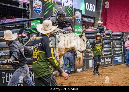 Newark, Usa. September 2021. Austin Richardson Rides werden beim Professional Bull Riders 2021 Unleash the Beast Event im Prudential Center in Newark fies böse. (Foto von Ron Adar/SOPA Images/Sipa USA) Quelle: SIPA USA/Alamy Live News Stockfoto