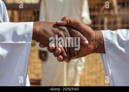 Detail eines Handshake-Deals für den Verkauf von Dromedaren auf dem Al Ain Kamelmarkt, Al Ain, Abu Dhabi, Vereinigte Arabische Emirate, Naher Osten Stockfoto