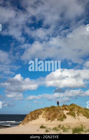 Menschen auf Sanddünen mit Blick auf den Strand und die Nordseeküste, bei Hollum, Ameland, Westfriesischen Inseln, Friesland, Niederlande, Europa Stockfoto