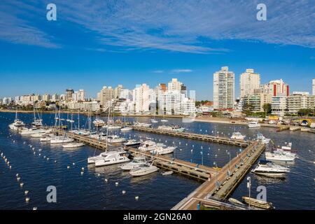 Luftaufnahme der Boote in der Marina mit Skyline hinter der Stadt, Punta del Este, Maldonado Department, Uruguay, Südamerika Stockfoto