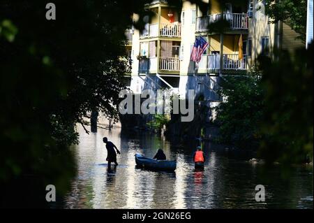 Freiwillige von den Freunden der Winooski säubern einen Teil des nördlichen Abzweiges des Winooski River, Montpelier, Vermont, USA. Stockfoto