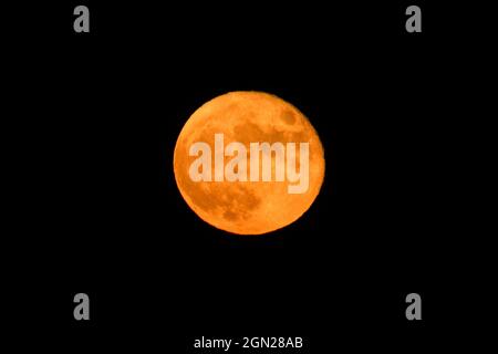 Los Angeles, Kalifornien, USA. September 2021. Ein Vollmond, auch bekannt als ''Harvest Moon'', erhebt sich am Dienstag, den 21. September 2021, in Los Angeles über dem Himmel. (Bild: © Ringo Chiu/ZUMA Press Wire) Stockfoto