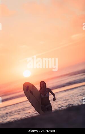 Weibliche Surferin geht mit Surfbrett am Strand in Sonnenuntergang, Surfen, Portugal, Sonnenuntergang Stockfoto