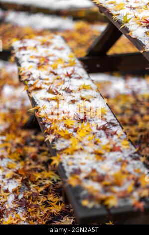 Braune und rote Blätter im Schnee bedecken die Außenbank und den Tisch. Saisonwechsel. Herbst und Winter. Stockfoto