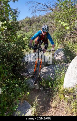 San Juan Capistrano, Kalifornien, USA. Mai 2020. Ein Mountainbiker fährt auf einem einspurigen Radweg im Cleveland National Forest San Juan Loop Trail System, in der Nähe des Ortega Highway, über Felsen und durch einen mit Sträuchern und Gras bewachsenen Slot. (Bild: © Ruaridh Stewart/ZUMA Press Wire) Stockfoto