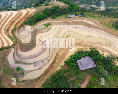 Hoang Su Phi Reisterrasse in der Provinz Ha Giang im Norden Vietnams Stockfoto