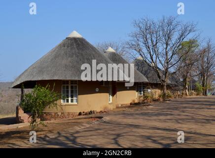 Eine Reihe von traditionellen Reetdach-Rondawelen oder Hütten im Olifants Rest Camp in der Wildnis des südafrikanischen Kruger National Park Wildreservats Stockfoto