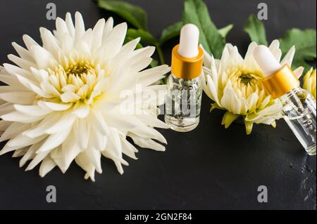 Gealuronsäure in Kosmetikflaschen vor dem Hintergrund weißer Dahlien. Intensive Feuchtigkeitspflege, Ernährung und Erhaltung der Jugendlichen Haut Stockfoto