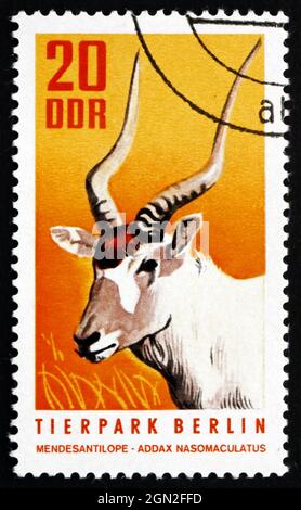 DDR - UM 1970: Eine in der DDR gedruckte Briefmarke zeigt White Antelope, Addax, Addax Nasomaculatus, Animal, um 1970 Stockfoto