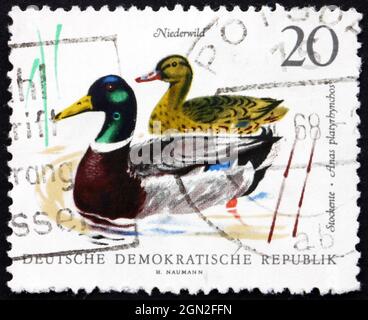 DDR - UM 1968: Eine in der DDR gedruckte Briefmarke zeigt Stockenten, Wildente, Anas platyrhynchos, Vogel, um 1968 Stockfoto