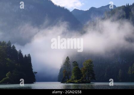 Am frühen Morgen Nebel um die Hügel und eine Insel im Konigssee See im Nationalpark Berchtesgaden, Bayern, Deutschland Stockfoto