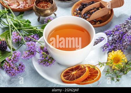 Bio-Tee. Kräuter, Blumen und Früchte um eine Tasse Tee. Gesundes Herbstgetränk Stockfoto