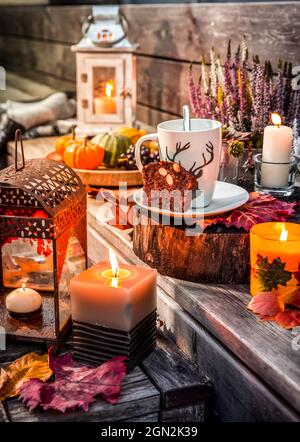 Schöne Herbstterrasse Dekoration mit Kürbissen, Laterne, Pflanzen und Blumen Stockfoto