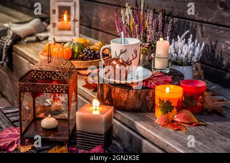 Schöne Herbstterrasse Dekoration mit Kürbissen, Laterne, Pflanzen und Blumen Stockfoto