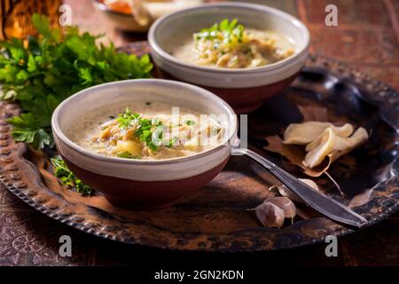 Vegane Kohlsuppe mit Austernpilzen mit Gemüse auf altem Küchentisch Stockfoto