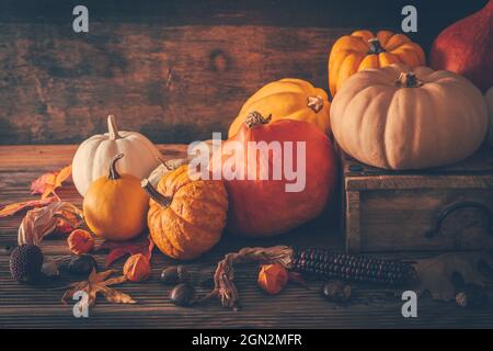 Happy Thanksgiving - Stillleben mit verschiedenen Kürbissen und Herbstblättern auf Holzgrund Stockfoto