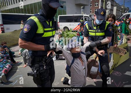 NGO-Aktivist, Teilnehmer an Klimaschutzprotesten, von der Polizei verhaftet Stockfoto