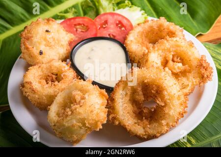 Weißer Teller mit quadratischen Ringen und Zwiebelringen mit Dipping-Sauce auf grünem Hintergrund Stockfoto