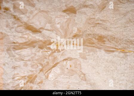 Hintergrund für Fettpapier Stockfoto