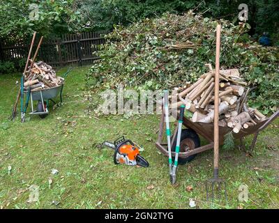 Der Baum im Garten wird im Herbst geschnitten Stockfoto