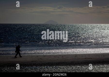 Ailsa Craig ist eine Insel von 99 Hektar (240 Acres) im äußeren Firth of Clyde, 16 Kilometer (10 Meilen) westlich des schottischen Festlandes, auf der seit langem „blauer Hone“-Mikrogranit abgebaut wird, um Lockensteine zu fertigen. Die jetzt unbewohnte Insel wird aus einem magmatischen Pluton gebildet, der während der gleichen Periode der unheiligen Aktivität wie magmatische Felsen auf der nahe gelegenen Insel Arran gebildet wird. Die Insel, umgangssprachlich bekannt als 'Paddy's Milestone'. Stockfoto