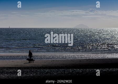 Ailsa Craig ist eine Insel von 99 Hektar (240 Acres) im äußeren Firth of Clyde, 16 Kilometer (10 Meilen) westlich des schottischen Festlandes, auf der seit langem „blauer Hone“-Mikrogranit abgebaut wird, um Lockensteine zu fertigen. Die jetzt unbewohnte Insel wird aus einem magmatischen Pluton gebildet, der während der gleichen Periode der unheiligen Aktivität wie magmatische Felsen auf der nahe gelegenen Insel Arran gebildet wird. Die Insel, umgangssprachlich bekannt als 'Paddy's Milestone'. Stockfoto