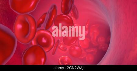 Rote Blutkörperchen, die in einem Blutgefäß zirkulieren - 3D-Abbildung Stockfoto