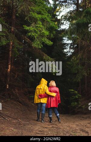 Ehepaar mittleren Alters in roten und gelben Regenmänteln, die durch immergrünen Wald wandern Stockfoto