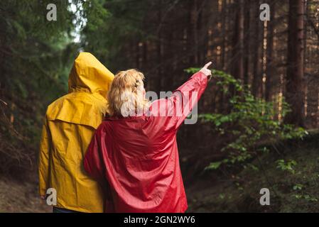 Ehepaar mittleren Alters in roten und gelben Regenmänteln, die durch immergrünen Wald wandern Stockfoto