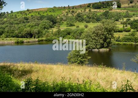 River Sett Reservoir in der Nähe von Hayfield, in High Peak, Derbyshire, England, Großbritannien. Aufgenommen vom Sett Valley Trail. Stockfoto