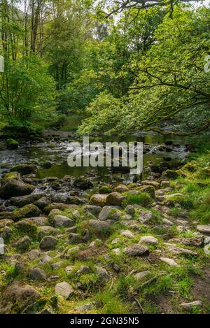 Der Fluss Rothay in der Nähe von Ambleside in den Seen. Stockfoto