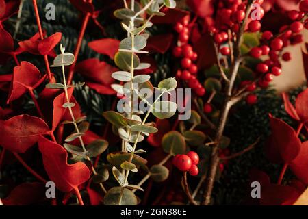Stilvolles dekoratives Weihnachtsbukett mit Zweigen aus Eukalyptus und leuchtend roten Zweigen mit Beeren bei Tageslicht Stockfoto