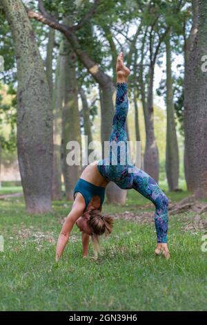 Seitenansicht des flexiblen weiblichen aktiven Ohres, das Eka Pada Urdhva Dhanurasana während der Yoga-Sitzung im Park tagsüber posiert Stockfoto