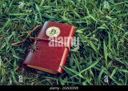 Braunes Leder-Notizbuch mit Bitcoin auf dem Hintergrund von grünem Gras Stockfoto