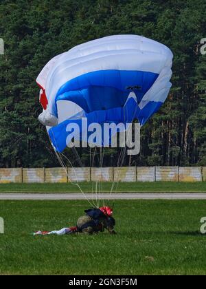 Fallschirmspringer landet auf einem Grasflugplatz mit einem blau-weißen Baldachin während einer Flugschau. Stockfoto
