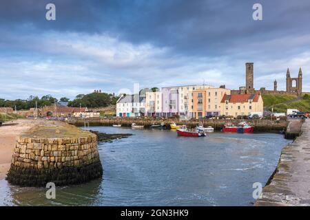 Der Eingang zum hübschen Hafen von St Andrews in Fife an der Ostküste Schottlands. Der St. Rules Tower und die Ruinen der Kathedrale stehen hoch hinten. Stockfoto