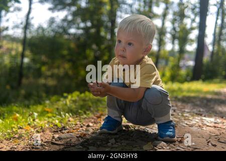 Kleiner Junge sammelt an einem sonnigen Tag Steine im Park Stockfoto