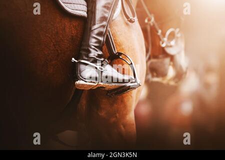 Ein Reiter in schwarzen Stiefeln mit Spornen sitzt auf einem Lorbeerrennpferd im Sattel mit Steigbügeln, beleuchtet von Sonnenlicht. Reitsport. Reiten. Stockfoto