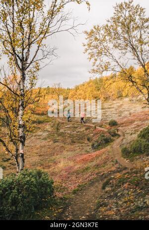 Weg durch die Landschaft des nördlichen Lapplands. Die Landschaft Nordlapplands wurde in Finnland aufgenommen. Herbstfarben und wunderschöne Sehenswürdigkeiten. Stockfoto
