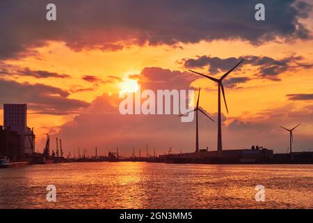 Windturbinen im Hafen von Antwerpen bei Sonnenuntergang. Stockfoto