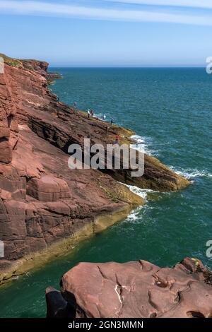 Angler fischen von den roten Sandsteinklippen von Seaton Cliffs in der Nähe von Arbroath, Angus, Schottland. Stockfoto