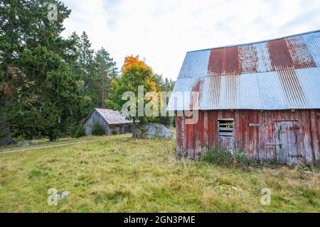 Alte verlassene Scheune auf einer Wiese im Grünen Stockfoto