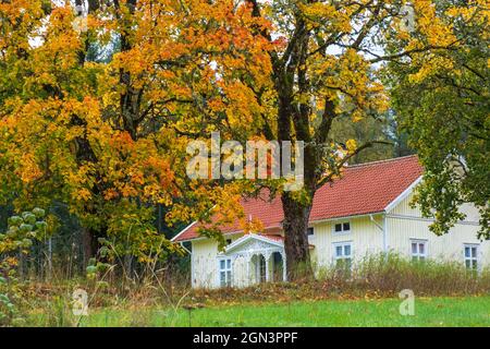 Schönes altes Haus im Wald renoviert Stockfoto