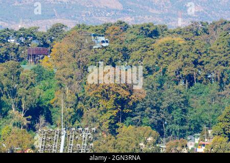 Der von Hindustan Aeronautics Limited entwickelte fortschrittliche leichte Hubschrauber Dhruv fliegt in der Nähe des Bodens, wenige Meter über den Baumkronen. Stockfoto