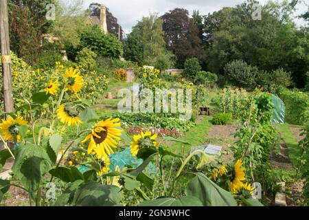 Blick auf Winchcomber, eine kleine Marktstadt von Cotswold in Gloucestershire, Großbritannien, Mit Einem Hüttengarten Stockfoto