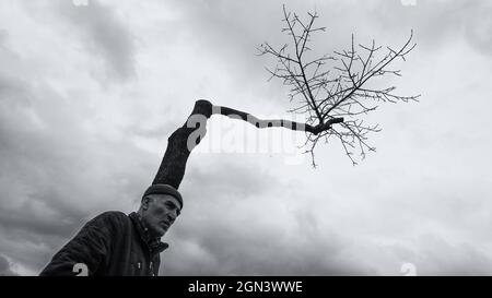 ISTANBUL, TÜRKEI - 05. Jan 2020: Eine Graustufenaufnahme eines Baumes, der aussieht, als würde er aus einem Kopf in Istanbul, Türkei, wachsen Stockfoto