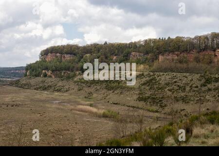 "Carrière Barrois "Steinbruch mit seinem großen roten Sandsteinfelsen und Teich, Wald, Freyming-Merlebach Wardnt, Mosel (57), Grand Est, Frankreich Stockfoto