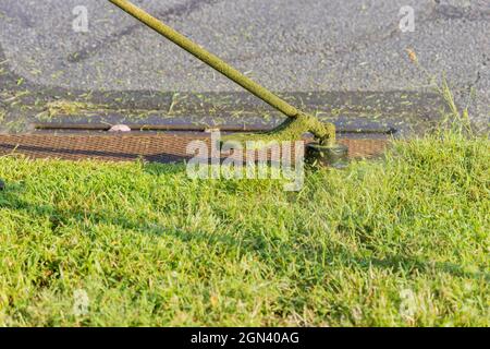 Professioneller Mann mit Mäher, der das Gras am Straßenrand mäht Stockfoto