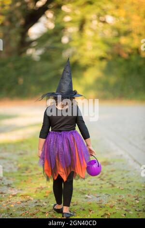 Ein Mädchen in einem lila und orangen Hexenkostüm spaziert mit einer Laterne durch den herbstlichen halloween Park. Kinderschmankerl. Kind mit einem Eimer Süßigkeiten Stockfoto